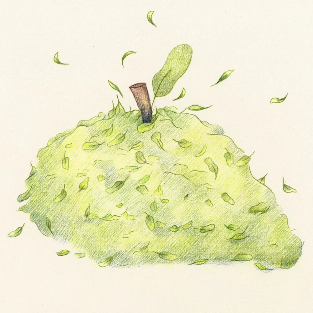 "Ace fell out of the tree" - Image 2