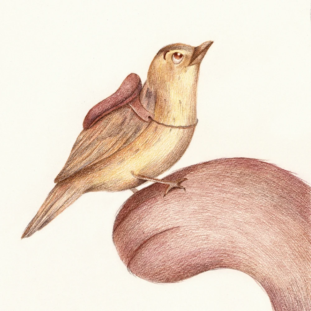 "Finn the little bird" - Image 3