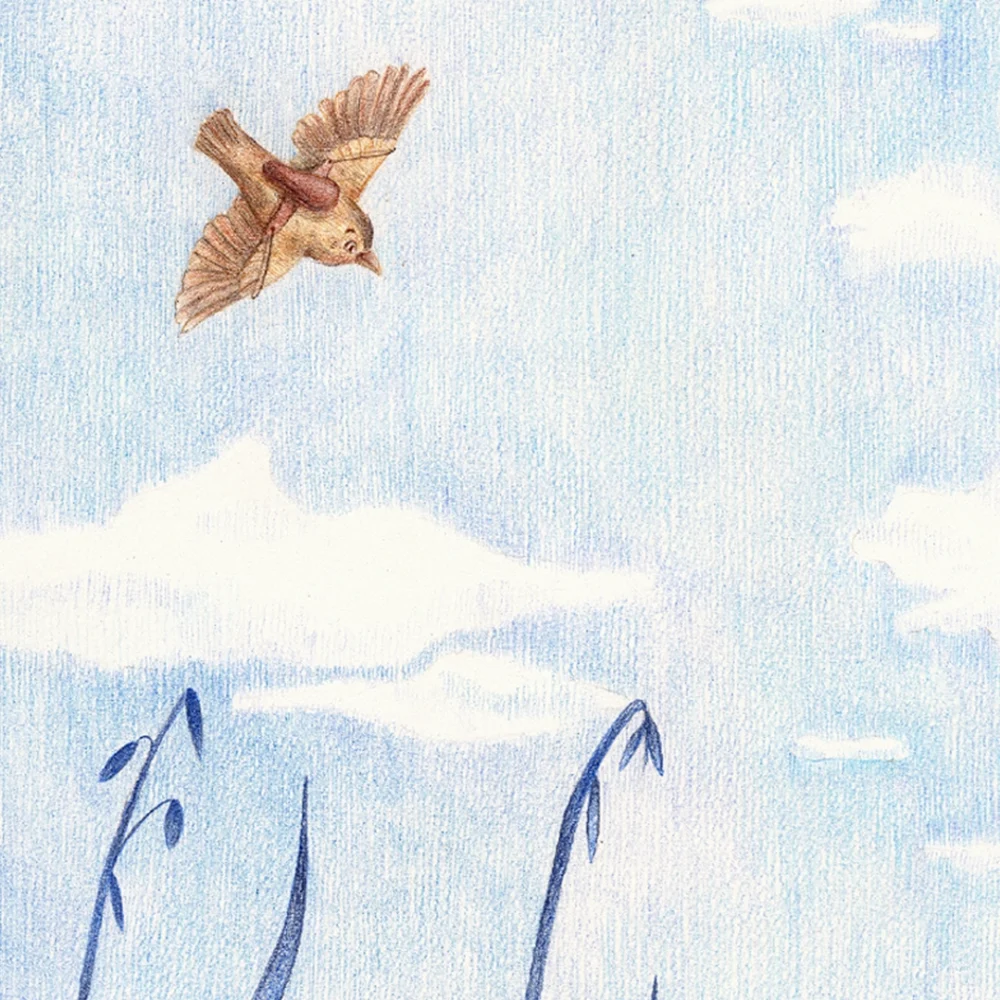 "Finn the little bird" - Image 2